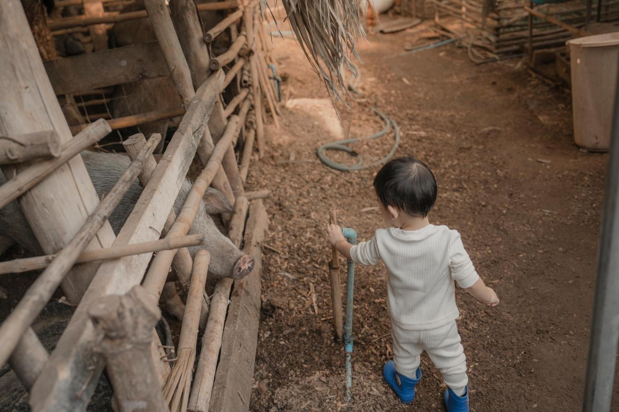 Baantonmai Farmstay Ban Mai Ngae Exterior foto